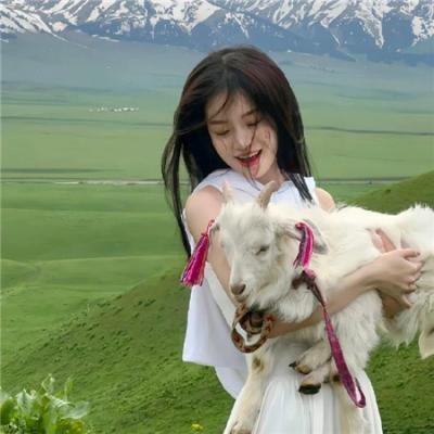 獣兵卫忍风炮